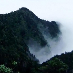 河北邯郸涉县九峰山森林公园
