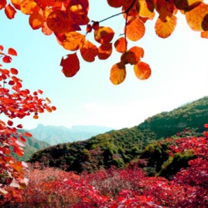 武安朝阳沟风景区电话